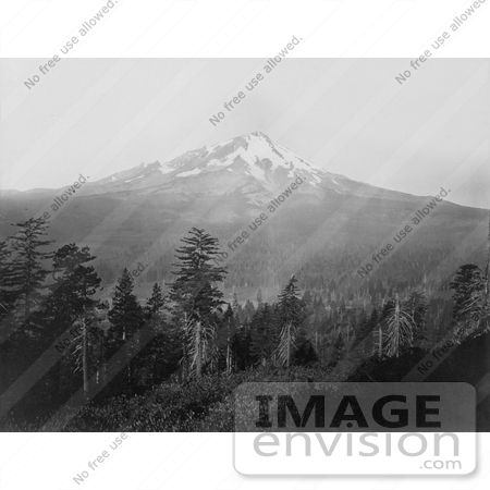 #21699 Stock Photography of Mt Shasta, California by JVPD