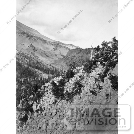 #21701 Stock Photography of Mountain Slopes of Mt Shasta, California by JVPD