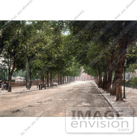 #21745 Historical Stock Photography of a Tree Lined Promenade Near the Queen’s Hotel in Cheltenham, Gloucestershire, England by JVPD