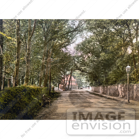 #21754 Historical Stock Photography of the Tree Lined Upper Bognor Road in Bognor Regis, England by JVPD
