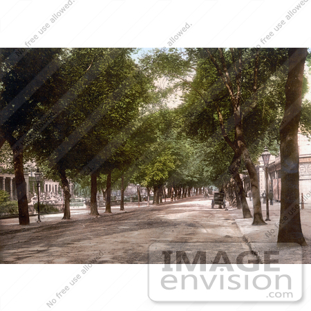 #21783 Historical Stock Photography of the Tree Lined Promenade Looking Towards Hight Street in Cheltenham, Gloucestershire, England by JVPD