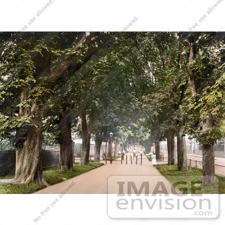 #21820 Historical Stock Photography of People Strolling Through an Avenue of Trees, South Walk, Dorchester, England by JVPD