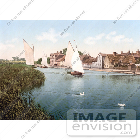 #21823 Historical Stock Photography of Two White Ducks Near Sailboats at Horning Village in Norfolk England by JVPD