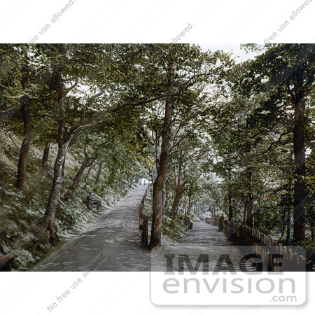 #21834 Historical Stock Photography of a Trail in the Plantation in Exmouth Devon England by JVPD