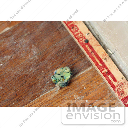 #21924 Stock Photography of a Tuft of Carpet Padding by a Carpet Tack Strip on a Dusty Wood Floor Following the Removal of Carpet and Padding by Jamie Voetsch