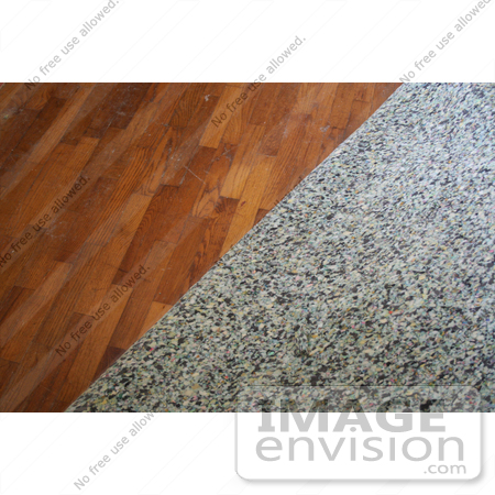 #21926 Stock Photography of Carpet Pads Being Pulled Off of Wood Flooring by Jamie Voetsch