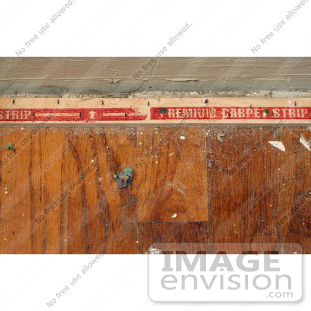 #21928 Stock Photography of Nails in a Carpet Tack Strip on a Wood Floor Following the Removal of Carpet and Padding by Jamie Voetsch