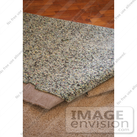 #21930 Stock Photography of Carpet and Padding Being Pulled Away and Revealing a Wood Floor by Jamie Voetsch