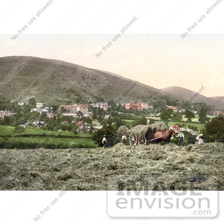 #21991 Stock Photography of People and Horses Harvesting Hay in Malvern Wells, Worcestershire, England by JVPD