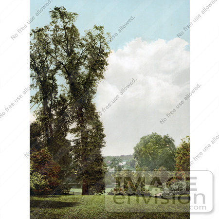 #22006 Stock Photography of the Terrace in Richmond, London, England by JVPD