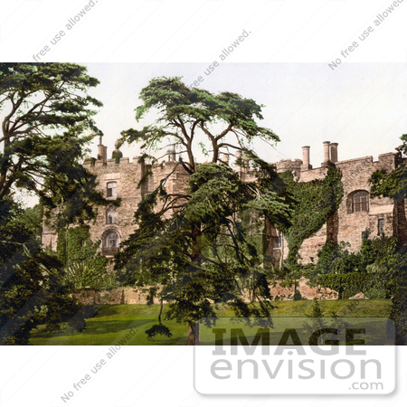 #22116 Historical Stock Photography of Overgrown Ivy on the Exterior Walls of the Berkeley Castle in Stroud Gloucestershire England UK by JVPD