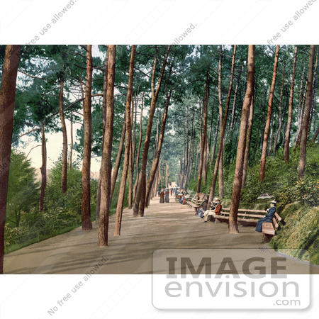 #22154 Historical Stock Photography of People Sitting on Benches and Strolling Down the Tree Lined Invalids’ Walk in Bournemouth Dorset England UK by JVPD
