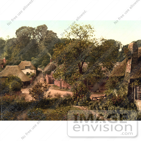 #22158 Historical Stock Photography of the Village of Cockington Torquay Torbay Devon England UK by JVPD