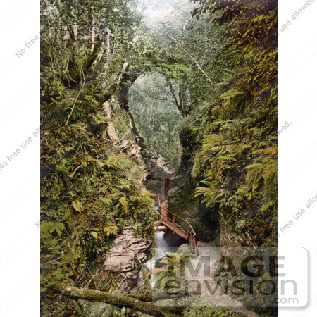 #22166 Historical Stock Photography of a Path Along the River Lyd in the Lydford Gorge Devon Devonshire England by JVPD