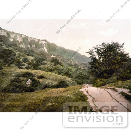 #22232 Historical Stock Photography of the Landslip Undercliff Isle of Wight England UK by JVPD