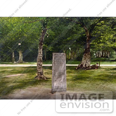 #22253 Historical Stock Photography of the Rufus Stone That Markes the Place of the Death of William Rufus in New Forest Hampshire England UK by JVPD