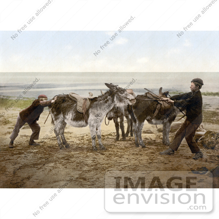 #22265 Historical Stock Photography of Two Boys Trying to Budge a Stubborn Donkey on a Beach in England by JVPD