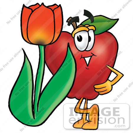 #22356 Clip art Graphic of a Red Apple Cartoon Character With a Red Tulip Flower in the Spring by toons4biz