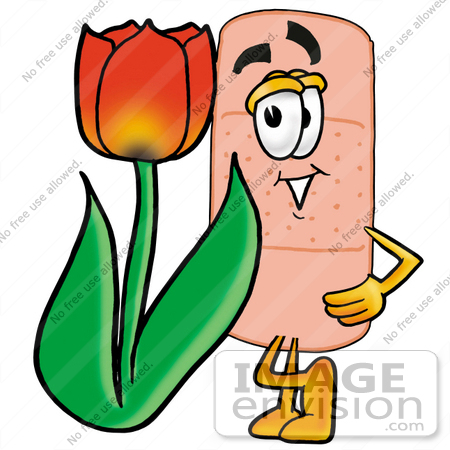 #22459 Clip art Graphic of a Bandaid Bandage Cartoon Character With a Red Tulip Flower in the Spring by toons4biz