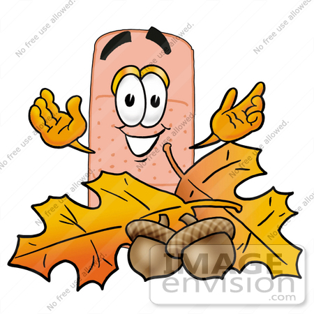 #22463 Clip art Graphic of a Bandaid Bandage Cartoon Character With Autumn Leaves and Acorns in the Fall by toons4biz