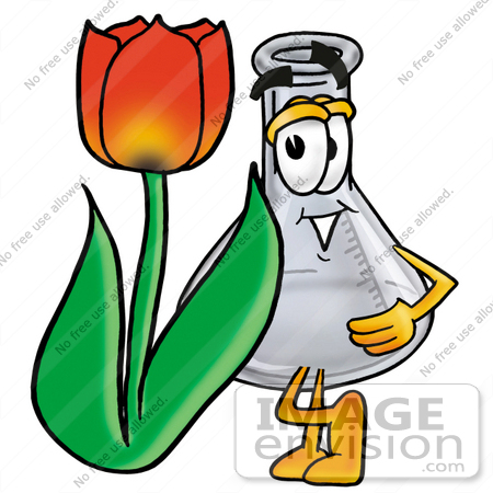 #22789 Clip art Graphic of a Beaker Laboratory Flask Cartoon Character With a Red Tulip Flower in the Spring by toons4biz