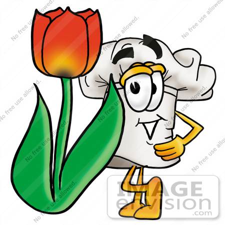 #23281 Clip Art Graphic of a White Chefs Hat Cartoon Character With a Red Tulip Flower in the Spring by toons4biz