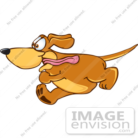 #23626 Clip Art Graphic of an Obsessed Brown Hound Dog Cartoon Character Running With His Tongue Flapping in the Wind by toons4biz