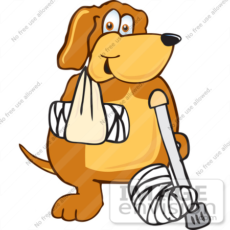 #23637 Clip Art Graphic of a Cute Brown Hound Dog Cartoon Character With One Leg in a Cast, One in a Sling and Using a Crutch by toons4biz