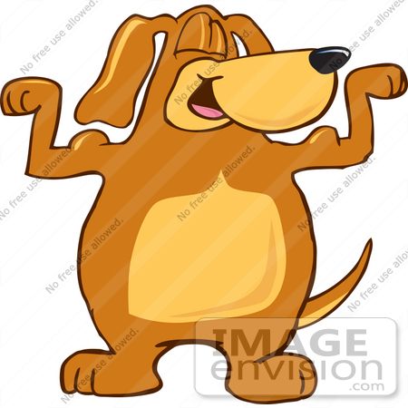 #23641 Clip Art Graphic of a Cute Brown Hound Dog Cartoon Character Flexing His Muscles by toons4biz