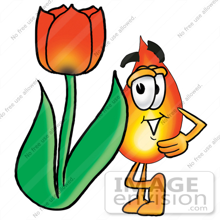 #23907 Clip Art Graphic of a Fire Cartoon Character With a Red Tulip Flower in the Spring by toons4biz