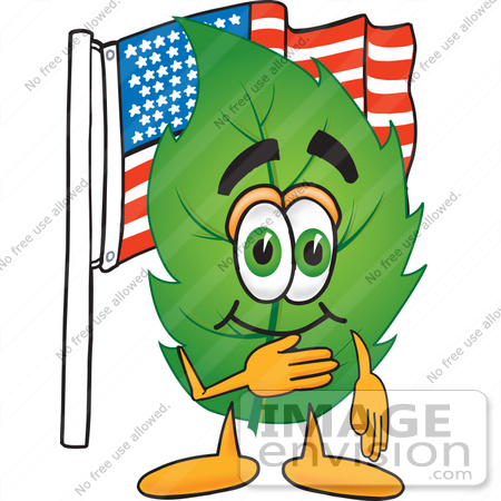 #24532 Clip Art Graphic of a Green Tree Leaf Cartoon Character Pledging Allegiance to an American Flag by toons4biz
