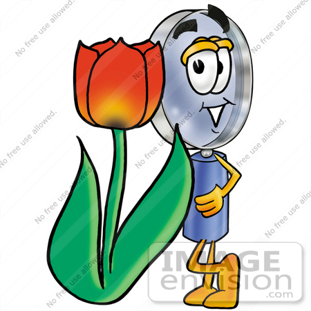 #24645 Clip Art Graphic of a Blue Handled Magnifying Glass Cartoon Character With a Red Tulip Flower in the Spring by toons4biz