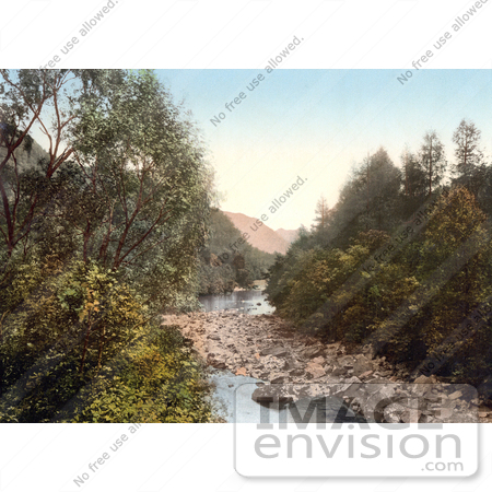 #26788 Stock Photography of Birch Trees on the Rocky Banks of the River Derwent in Borrowdale Lake District Cumbria England UK by JVPD