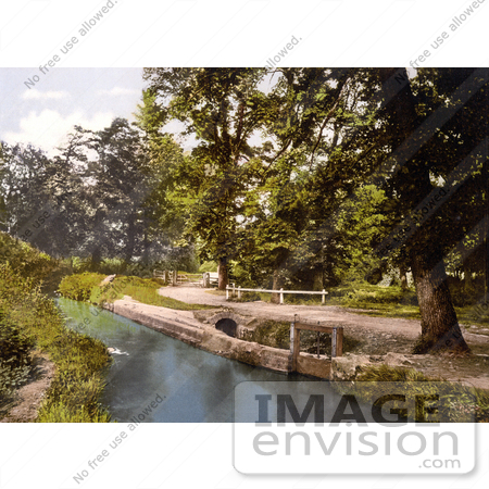 #26840 Stock Photography of a Gated Dirt Road Along the River Lemon in Bradley Woods Newton Abbott Wiltshire England by JVPD