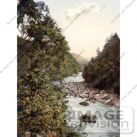 #26867 Stock Photography of Birch Trees on the Rocky Banks of the River Derwent in Borrowdale Lake District Cumbria England UK by JVPD