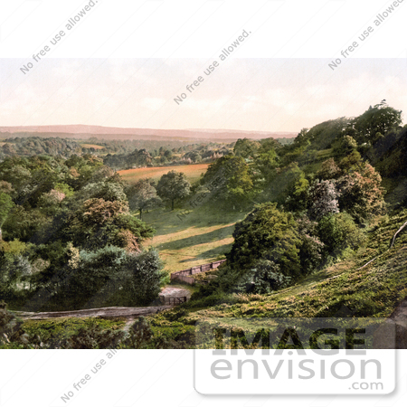 #26928 Stock Photography of a Gated Driveway and Fence in Happy Valley of Royal Tunbridge Wells Kent England UK by JVPD