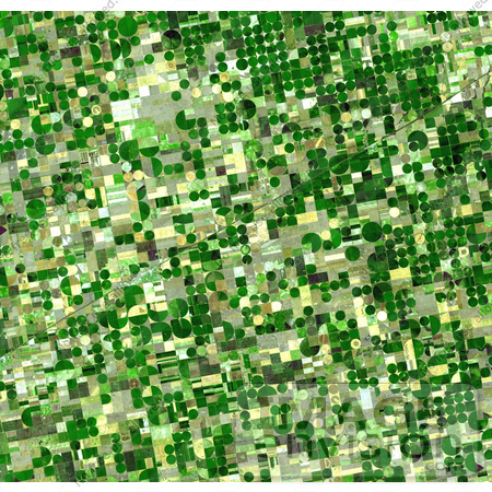 #2730 Crop Circles in Kansas by JVPD