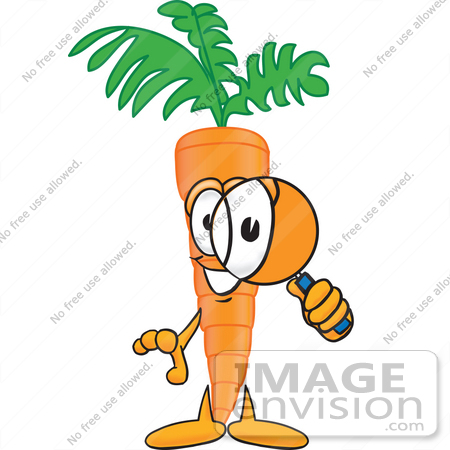 #27600 Clip Art Graphic of an Organic Veggie Carrot Mascot Character Looking Through a Magnifying Glass by toons4biz