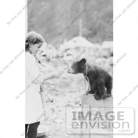 #27891 Historical Stock Photo of a Chained Bear Cub Sitting On Top Of A Wooden Crate, Leaning Out To Take A Donut From A Little Girl by JVPD