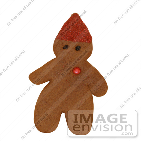 #2790 Picture of a Gingerbread Elf by Kenny Adams