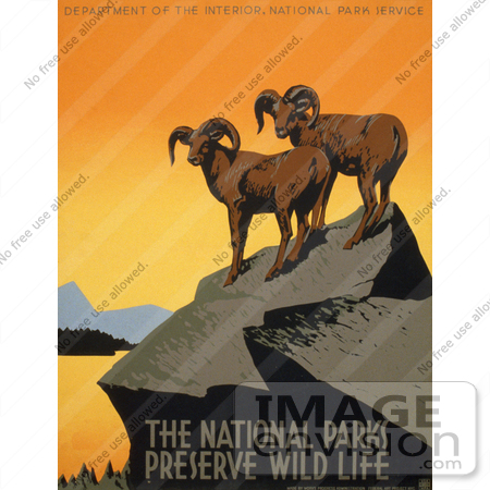 #27978 Two Wild Bighorn Sheep (Ovis Canadensis) On A Cliff Overlooking a Lake Surrounded by Mountains Stock Illustration by JVPD