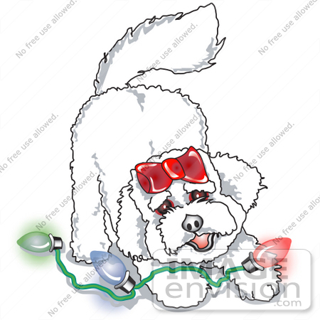 #28956 Cartoon Clip Art Graphic of a Bichon Frise Dog Playing With Colorful Christmas Lights by Andy Nortnik