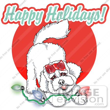 #28992 Cartoon Clip Art Graphic of a Playful Bichon Frise Dog With Christmas Lights by Andy Nortnik