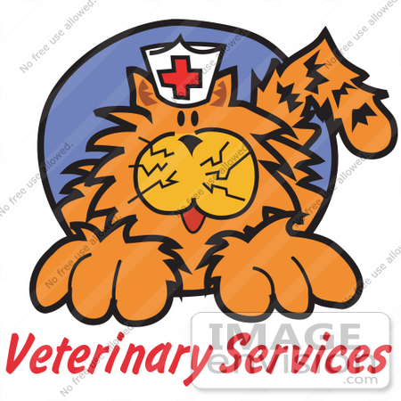 #29067 Royalty-free Cartoon Clip Art of an Orange Cat Wearing A White Nursing Hat With A Red Cross On It Above Text Reading "Veterinary Services" by Andy Nortnik