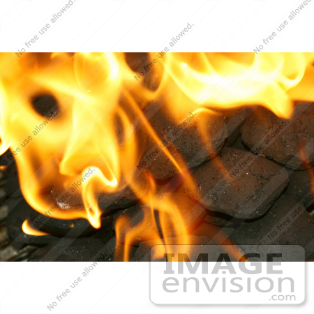 #293 Picture of Burning Charcoal Briquettes by Kenny Adams