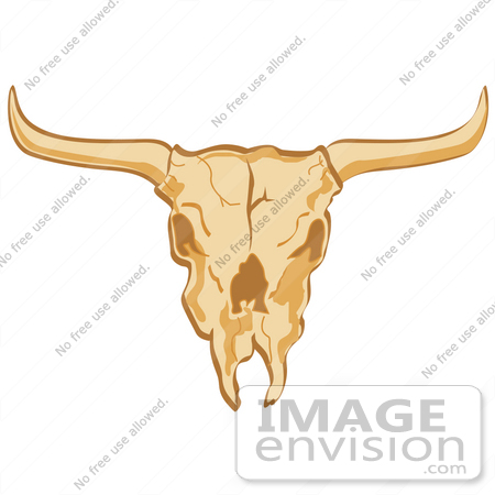 #29393 Royalty-free Cartoon Clip Art of an Old Cow Skull by Andy Nortnik