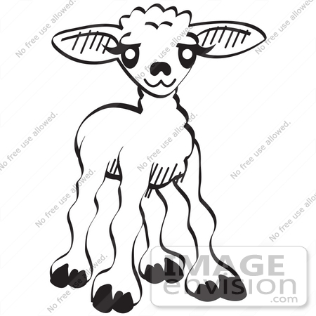 #29519 Royalty-free Cartoon Clip Art of a Little Baby Lamb, Black and White by Andy Nortnik