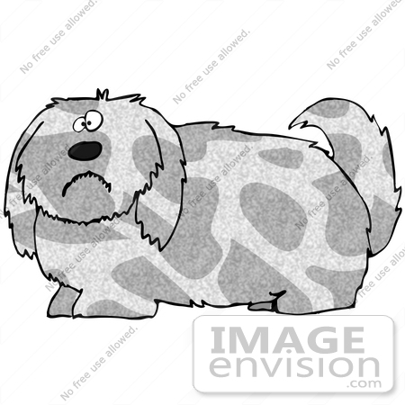 #29718 Clip Art Graphic of a Nervous Gray Shaggy Dog by DJArt