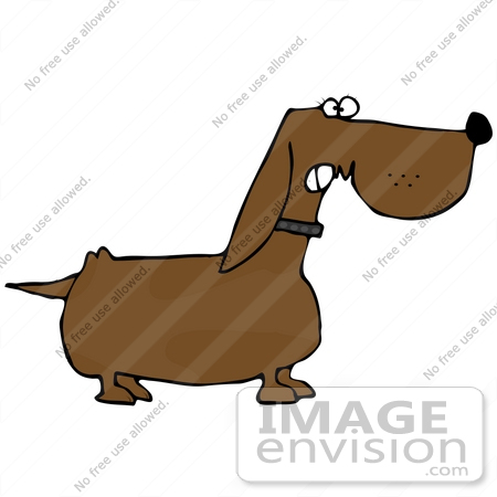 #29722 Clip Art Graphic of a Little Dachshund Dog Growling While Guarding His Property by DJArt