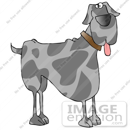 #29724 Clip Art Graphic of a Big Goofy Great Dane With His Tongue Hanging Out of His Mouth by DJArt